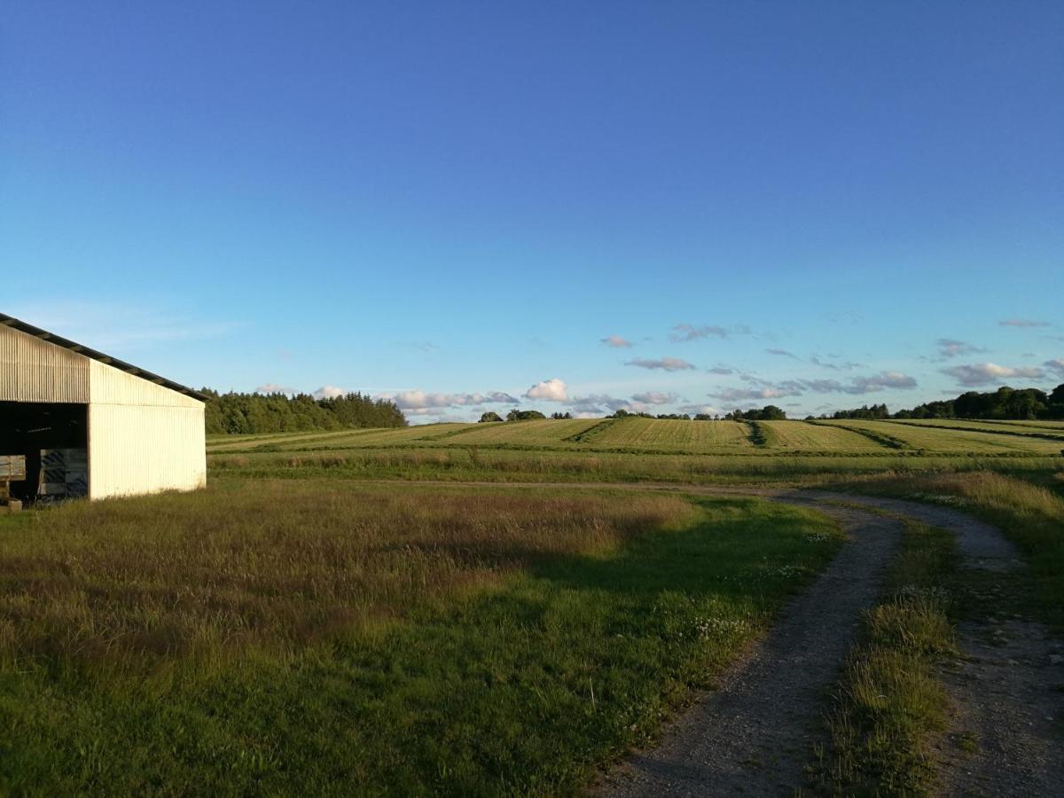 Villa Haervejsly - Perfekt Familiebase Til Oplevelse Af Sydjylland Give Exterior foto