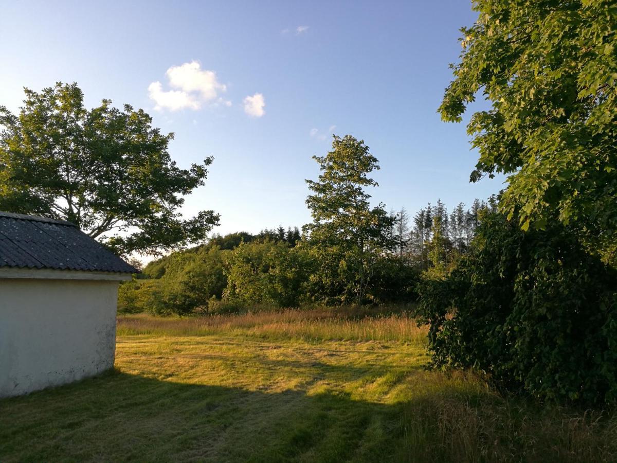 Villa Haervejsly - Perfekt Familiebase Til Oplevelse Af Sydjylland Give Exterior foto
