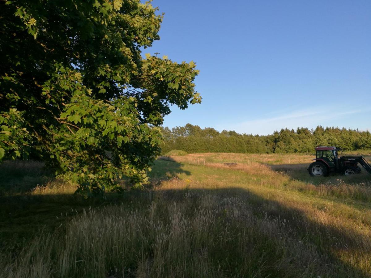 Villa Haervejsly - Perfekt Familiebase Til Oplevelse Af Sydjylland Give Exterior foto